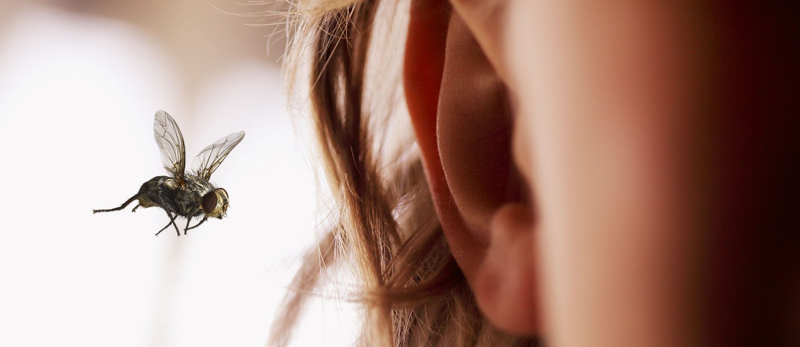 Ваши уши — крайне чувствительный орган, и внутреннее повреждение может сильно нарушить ваш слух. Чтобы защитить внутреннюю часть ушей, важно знать, что делать при возникновении опасной ситуации.