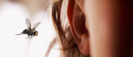 Ваши уши — крайне чувствительный орган, и внутреннее повреждение может сильно нарушить 